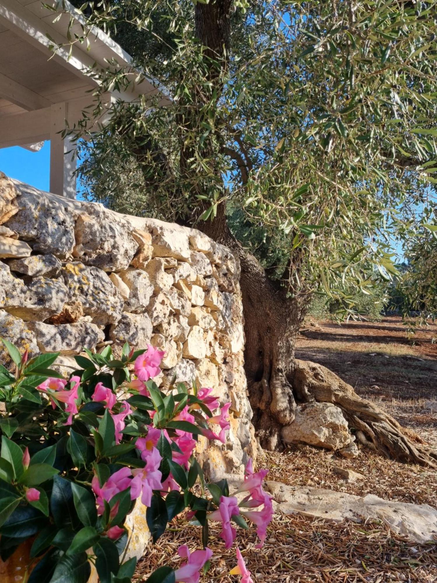 Bed and Breakfast Trulli Di Spinaruta Grottaglie Exterior foto