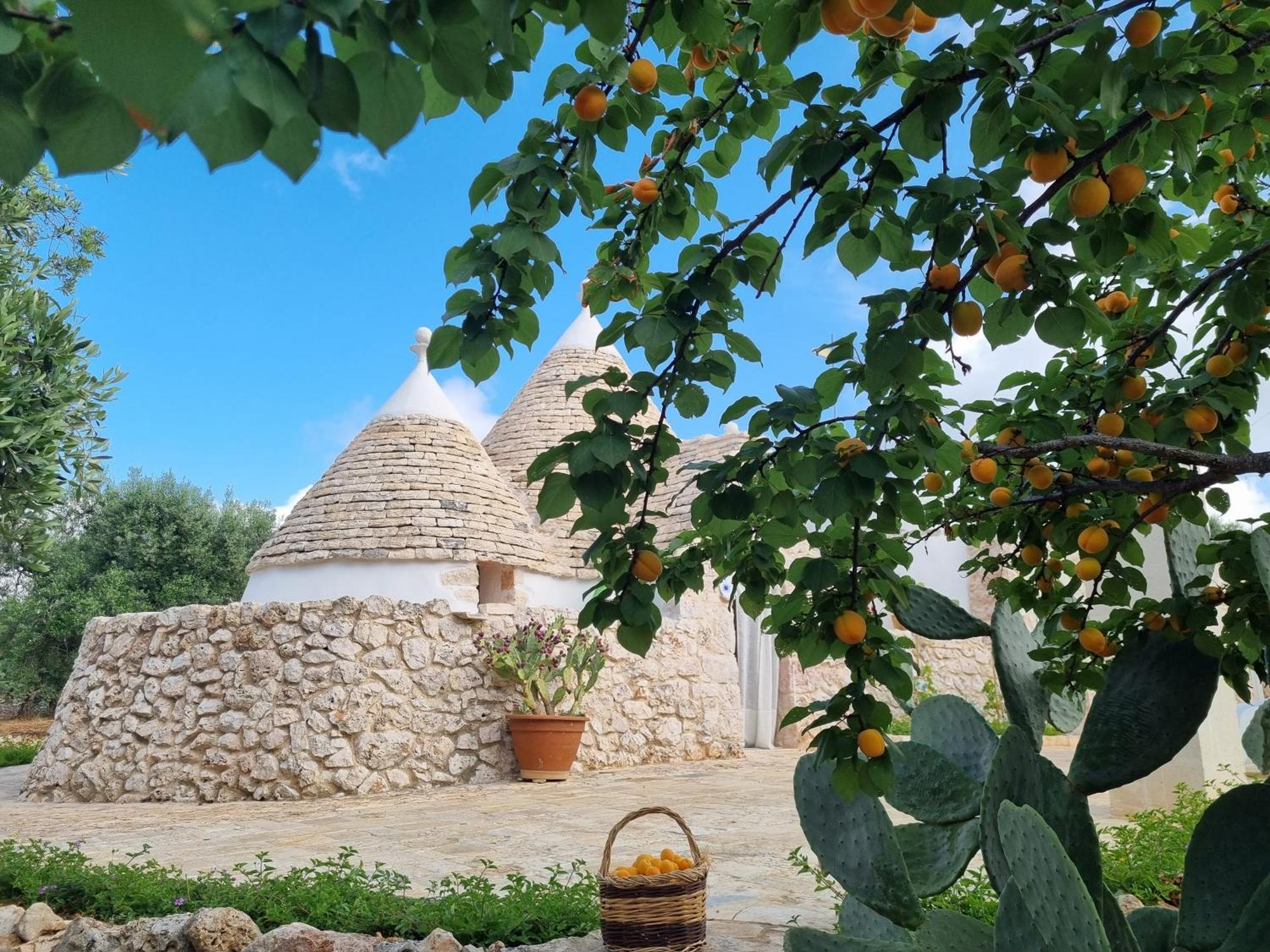 Bed and Breakfast Trulli Di Spinaruta Grottaglie Exterior foto